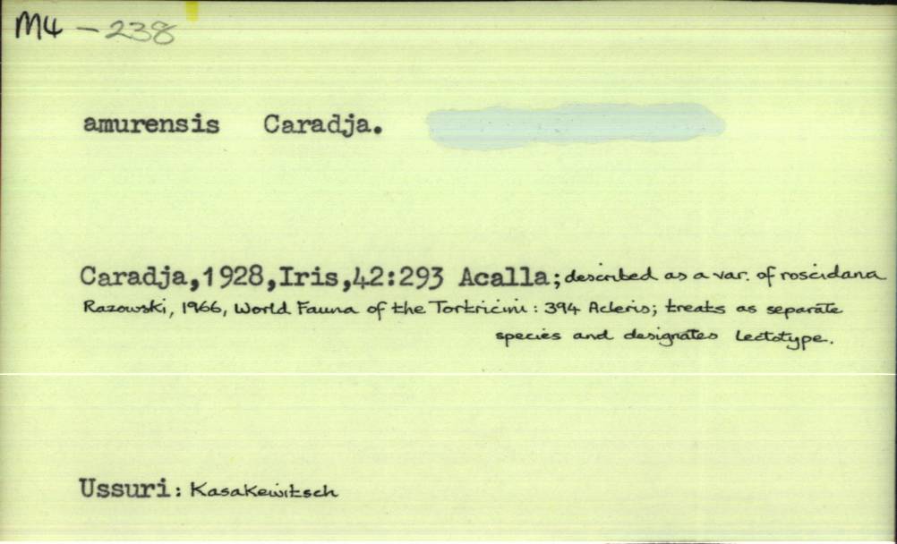 front of card